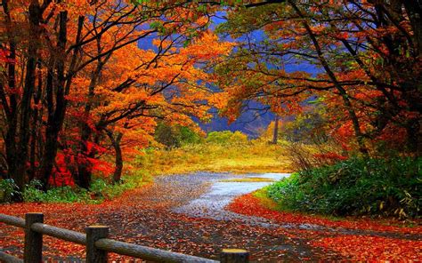 autumn free desktop wallpaper|free autumn wallpaper and screensavers.